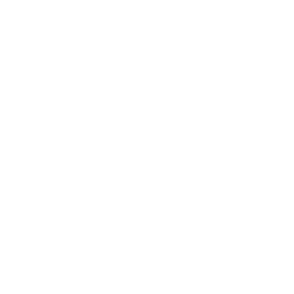 Firewall and Network Security